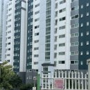 글리플케이크 | 여수 생화케이크 글리플 케이크 솔직후기