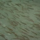 농업회사법인 죽암농장(주) 태양공발전소 | 방학 맞아 복합상영관 화재예방 총력/고흥군,‘친환경 농업∙축산경쟁력 강화’세미나 개최[조은뉴스]