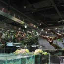 아쿠아가든카페 - 양주시 천보산로5번길 3 | 아쿠아가든카페
