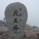 피아골(기산) | 하늘을 허락하지 않는 지리산