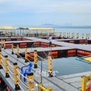 무기수산좌대낚시터 네이버블로그