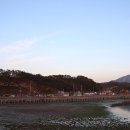 남산공원오토캠핑장 이미지