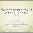 맛보아 - 제주시 | 맛보아