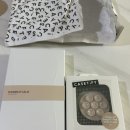 리플 | 케이스티파이 리플케이스 솔직후기