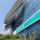 하나은행 녹산공단지점 | 방콕 파타야 여행 준비 2탄 : 하나은행 환전지갑으로 달러 환전🇹🇭(+하나은행 환율우대, 태국 달러/바트)