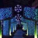 대구역네거리 교통섬 이미지