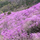 진달래빌딩 이미지