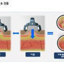 연 피부관리실