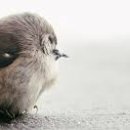 탄천 연원마을 이미지