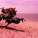 내 안에 시를 담다 이미지