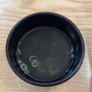 아담스꼬마김밥 영천점 | 250817 아담스꼬마김밥 / 영천시 중앙동