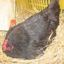 선배농장 이미지