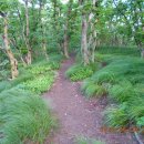 진틀목장 이미지