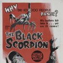 더블랙(The Black) 이미지