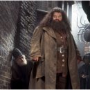 아이누리유치원 이미지