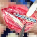 태백동물병원 이미지