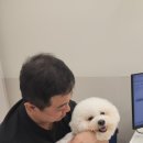 24시 파티마동물의료센터 이미지