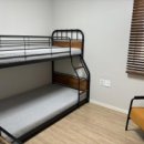 베일리하우스애견펜션 이미지