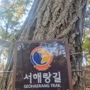 11월23 일요일 11시 서해랑길 89코스 대부도 해솔길 바다향기수목원 이미지