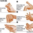 플루코 이미지