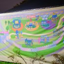 새빛 | 수원 화성 미디어아트 2025 새빛향연, 직접 다녀온 후기(미디어아트 일정,장소,주차)