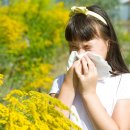 알레르기 이미지