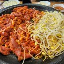 배부른생오리 이미지