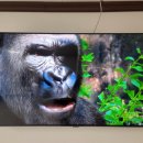 영인면 토정로 이미지