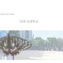 서울노원초등학교 이미지