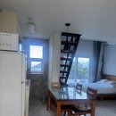 채우리네 | 제주 서귀포 애견 동반 숙소 추천 / 채우리네펜션