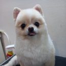 착한개조아 이미지