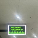 방배천로18길 36-11 | 11-12월 일상 ❄️