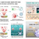 카엠
