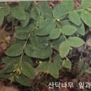 정광섬유 이미지