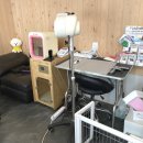 몽글펫살롱 이미지