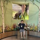 대공원광장대로 | 울산대공원 생태여행관 후기🐞 나비·식물·곤충·파충류 한 번에 즐기기!
