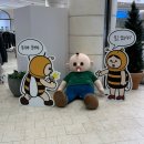 (주)한빛아트 | 2025 누들대전축제 한빛탑 광장 주차 쿠킹쇼 일정 방문후기