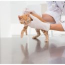 프라자 동물병원 이미지