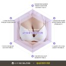 골든발란스의원 이미지