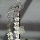 🌸 대만 국제 난초꽃축제 (Taiwan International Orchid Show) 이미지