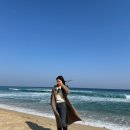 중앙동166 | 강원도 여행 1박2일 - 2일차, 강릉