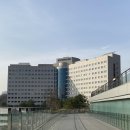 김미란산부인과의원 | 분당서울대병원 난소낭종 복강경 수술 후기 이정렬 교수님