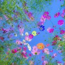 야살의 책 2 셋에서 에녹까지. “에노스 시대의 악”
