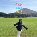 이끼숲소길샵