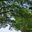 탕정그집쭈꾸미 이미지