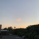 사라보카 이미지