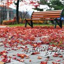 새별따라