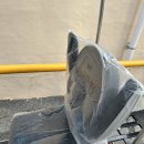 레드 모터스 이미지