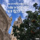 자유(관) | 스페인 세비야 자유여행 가볼만한곳 추천 | 세비야 대성당 &amp; 히랄다 탑 오픈런 후기