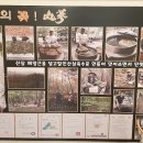 가야탕 이미지